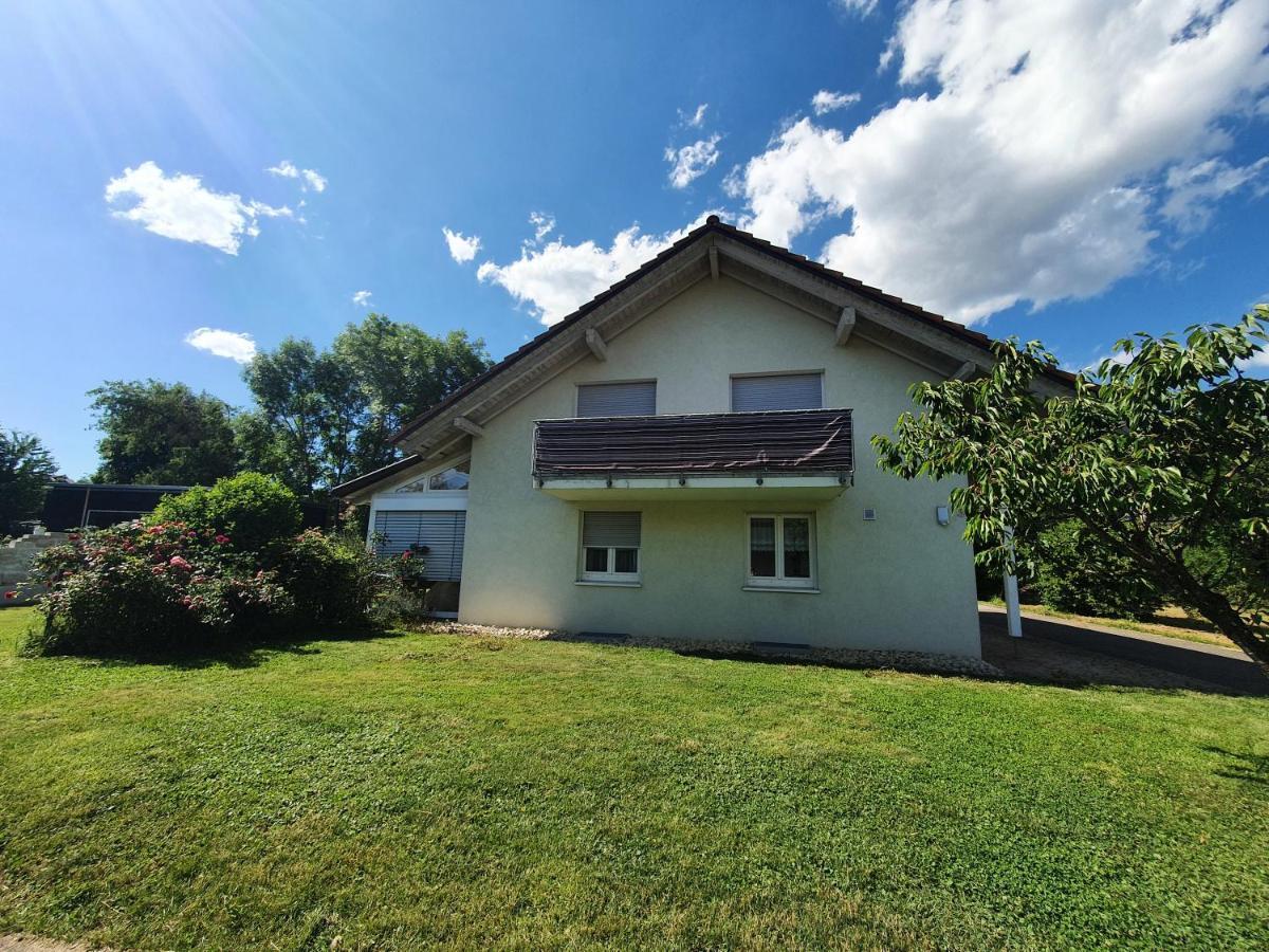 Klettgauperle - Familien- Und Behindertengerechte Ferienwohnung Griessen Exterior photo